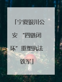 宁夏银川公安 “四链闭环”重塑执法铁军