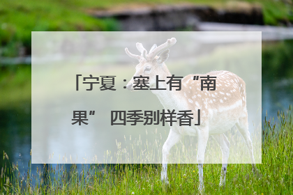 宁夏：塞上有“南果” 四季别样香