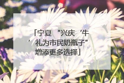 宁夏 “兴庆‘牛’礼为市民奶瓶子”增添更多选择