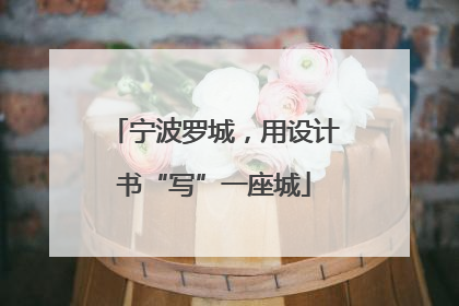 宁波罗城，用设计书“写”一座城