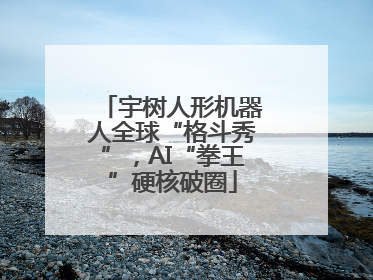 宇树人形机器人全球“格斗秀”，AI“拳王”硬核破圈