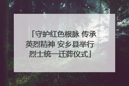 守护红色根脉 传承英烈精神 安乡县举行烈士统一迁葬仪式