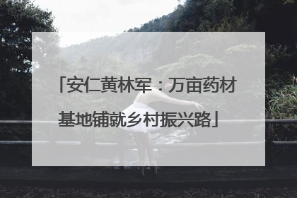 安仁黄林军：万亩药材基地铺就乡村振兴路
