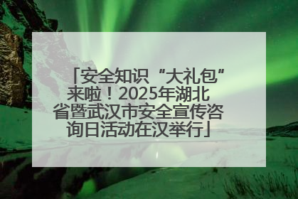 安全知识“大礼包”来啦！2025年湖北省暨武汉市安全宣传咨询日活动在汉举行