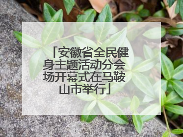 安徽省全民健身主题活动分会场开幕式在马鞍山市举行