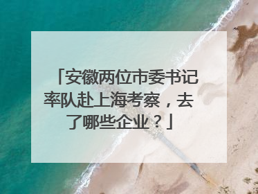 安徽两位市委书记率队赴上海考察，去了哪些企业？
