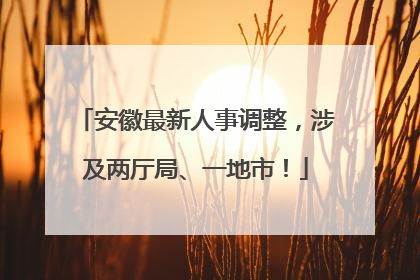 安徽最新人事调整，涉及两厅局、一地市！