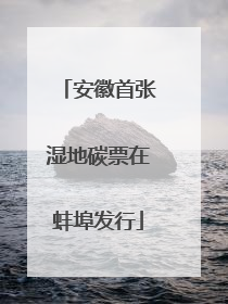 安徽首张湿地碳票在蚌埠发行