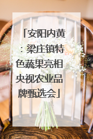 安阳内黄：梁庄镇特色蔬果亮相央视农业品牌甄选会