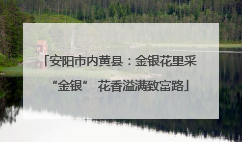 安阳市内黄县：金银花里采“金银” 花香溢满致富路