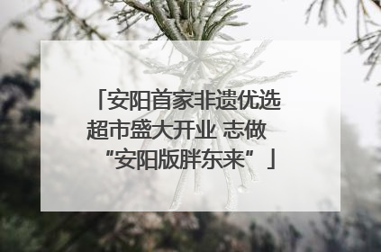 安阳首家非遗优选超市盛大开业 志做“安阳版胖东来”