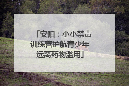 安阳：小小禁毒训练营护航青少年远离药物滥用