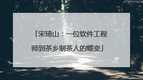 宋琦山：一位软件工程师到茶乡制茶人的蝶变