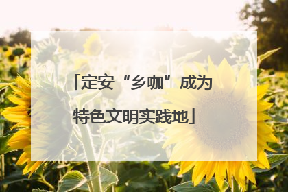 定安“乡咖”成为特色文明实践地