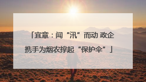 宜章：闻“汛”而动 政企携手为烟农撑起“保护伞”