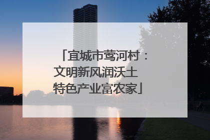 宜城市莺河村：文明新风润沃土 特色产业富农家