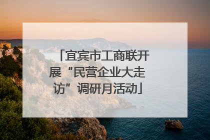 宜宾市工商联开展“民营企业大走访”调研月活动