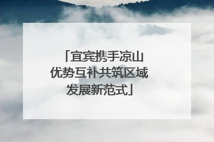 宜宾携手凉山 优势互补共筑区域发展新范式