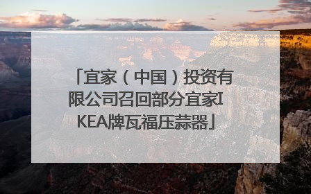宜家（中国）投资有限公司召回部分宜家IKEA牌瓦福压蒜器