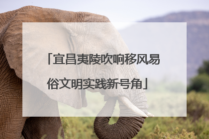 宜昌夷陵吹响移风易俗文明实践新号角