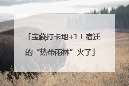 宝藏打卡地+1！宿迁的“热带雨林”火了