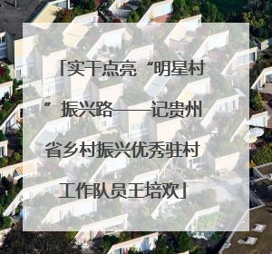 实干点亮“明星村”振兴路——记贵州省乡村振兴优秀驻村工作队员王培欢