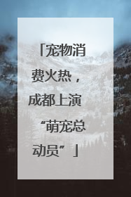 宠物消费火热，成都上演“萌宠总动员”
