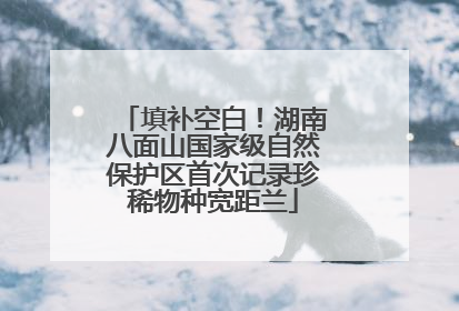 填补空白！湖南八面山国家级自然保护区首次记录珍稀物种宽距兰
