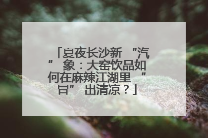 夏夜长沙新 “汽” 象：大窑饮品如何在麻辣江湖里 “冒” 出清凉？
