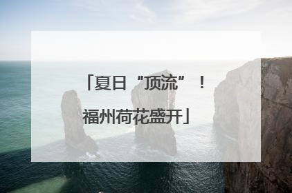 夏日“顶流”！福州荷花盛开