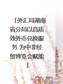 外汇局湖南省分局以高质效外币兑换服务 为中非经贸博览会赋能