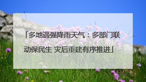 多地遇强降雨天气：多部门联动保民生 灾后重建有序推进
