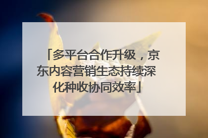 多平台合作升级，京东内容营销生态持续深化种收协同效率