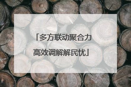 多方联动聚合力 高效调解解民忧