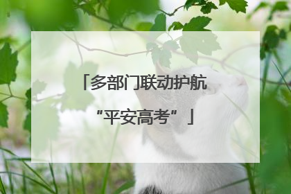多部门联动护航“平安高考”
