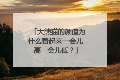 大熊猫的颜值为什么看起来一会儿高一会儿低？