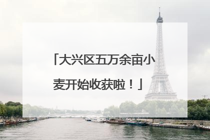 大兴区五万余亩小麦开始收获啦！
