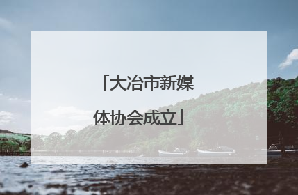 大冶市新媒体协会成立