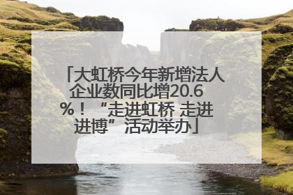 大虹桥今年新增法人企业数同比增20.6%！“走进虹桥 走进进博”活动举办
