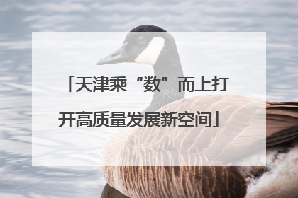 天津乘“数”而上打开高质量发展新空间