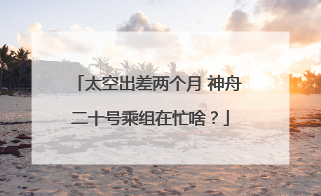 太空出差两个月 神舟二十号乘组在忙啥？