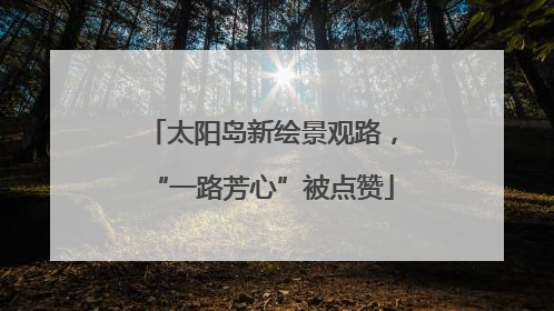 太阳岛新绘景观路，“一路芳心”被点赞
