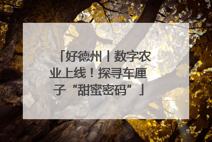 好德州丨数字农业上线！探寻车厘子“甜蜜密码”