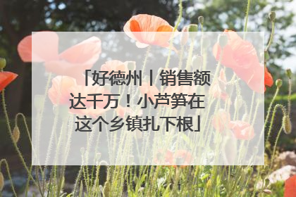 好德州丨销售额达千万！小芦笋在这个乡镇扎下根