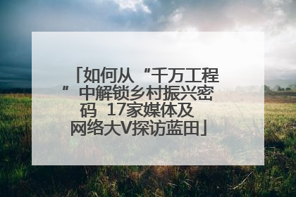 如何从“千万工程”中解锁乡村振兴密码  17家媒体及网络大V探访蓝田