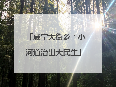 威宁大街乡：小河道治出大民生