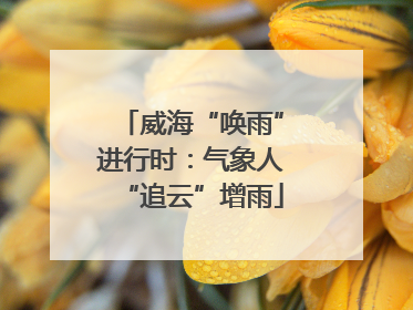 威海“唤雨”进行时：气象人“追云”增雨