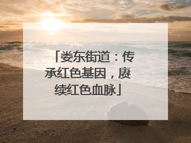 娄东街道：传承红色基因，赓续红色血脉