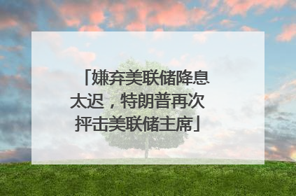 嫌弃美联储降息太迟，特朗普再次抨击美联储主席