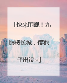 快来围观！九眼楼长城，傻狍子出没~